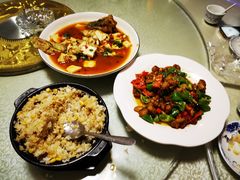 -煲来饱去冷水鱼
