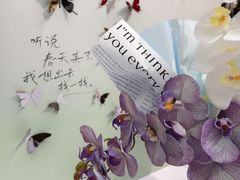 -万达广场(南宁青秀店)