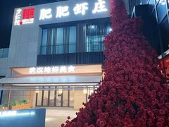 -肥肥虾庄·金牌油焖大虾(汉口城市广场店)