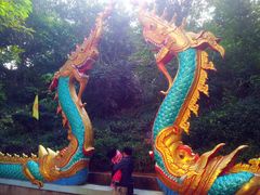 景点-西双版纳勐泐文化旅游区