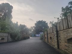 -三垟湿地