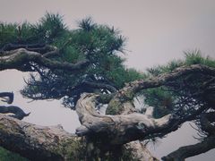 -天柱山风景区