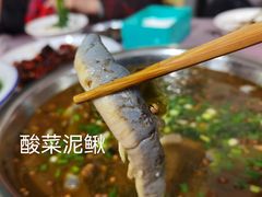 -盘龙黄鳝(盘龙居店)
