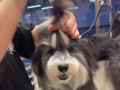 -FAELING PETS美天灵宠物(富力广场店)