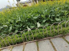 -宝晶宫旅游景区