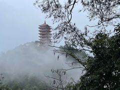 -缙云山景区