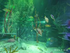 -沈阳海洋探索中心