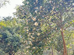 -北仑森林植物园