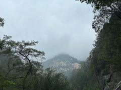 -泰山风景名胜区