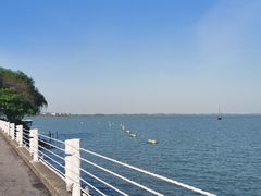 -贡湖湾湿地公园