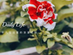 -三仟津花园咖啡馆