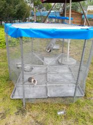 -萌宠亲子动物乐园(槐房万达店)