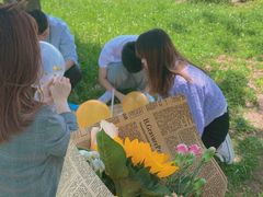 -合肥滨湖国家森林公园