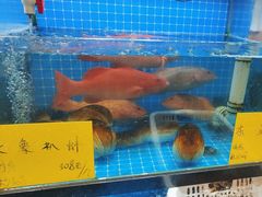 -醉壹号海鲜大排档(厦门美食地标店)
