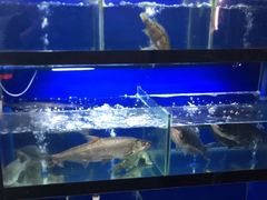 -李东农庄(中南百草园地标店)