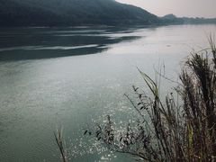 -羚羊峡古栈道森林公园