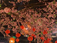 -卢大鲜鱼头捞饭(美利广场店)