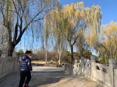 -丰台花园