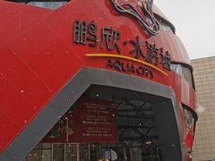 -鹏欣水游城