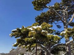 -妙峰山风景名胜区