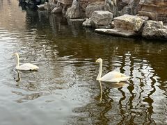 -石家庄市动物园