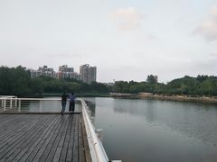 -新江湾城公园