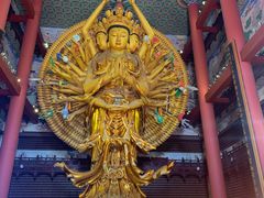 -上海东林寺(金山区)