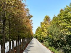 -上海长兴岛郊野公园