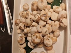 -同仁四季椰子鸡(宝安壹方城店)