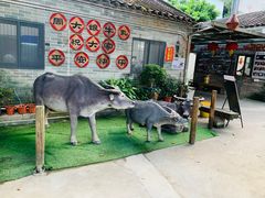 -周大娘牛乳(旧寨古村总店)