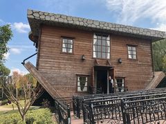 -金山农民画村-枫泾波兰倒置屋