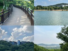 -羊山湖公园