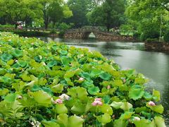 -无锡蠡湖国家湿地公园-蠡园