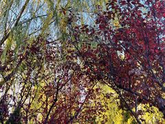 -元大都城垣遗址公园