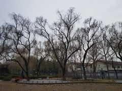 -玲珑塔公园