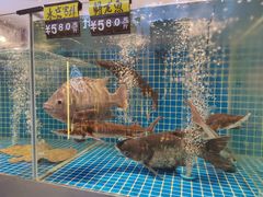 -蚝美人·生蚝海鲜烧烤(茶花园店)