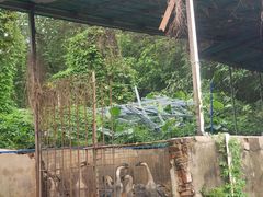 -红旗山庄(圭峰山店)