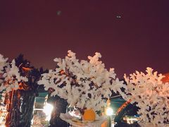 -日照灯塔风景区