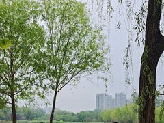 -太阳宫公园