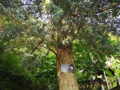 -虞山城墙
