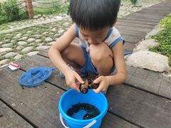 -成都市活水公园