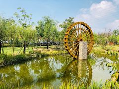 -上海长兴岛郊野公园