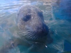 -常州海昌海洋探索馆
