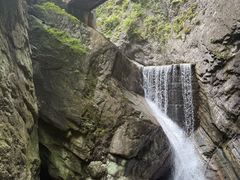 -牛背梁国家森林公园