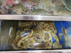 -宾朋海鲜特色美食餐厅·纯手工鲅鱼水饺(兴海路店)