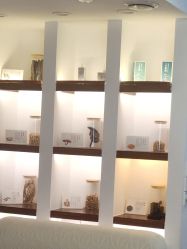 -梵茜儿·头道汤养生馆