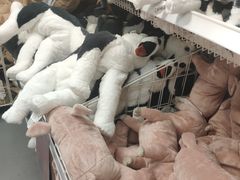 -宜家家居(哈尔滨商场店)