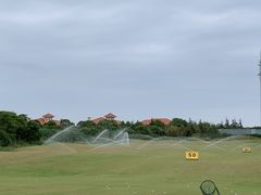 -棕榈滩海景高尔夫俱乐部
