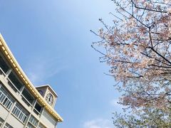 -源清中学