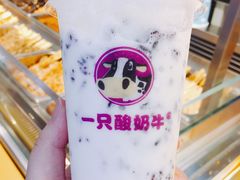 -一只酸奶牛(八一路店)
